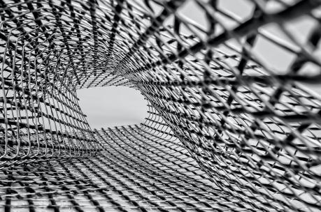 ricardo gomez angel z6CcN8rlftY unsplash2