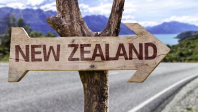 Eagle Migration Services Immigration New Zealand 1