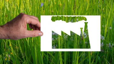 greenwashing.jpeg 1