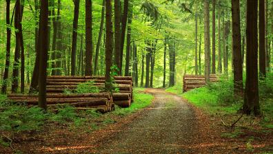 hero agri forestry